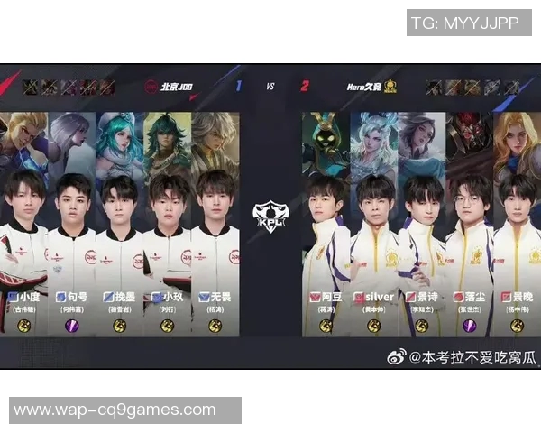 深入探讨王者荣耀JDG战队的团队配合与战术策略分析