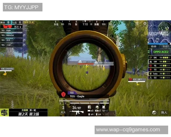 2026电竞新闻和平精英战术TES的盯防体系解析与实战应用探讨